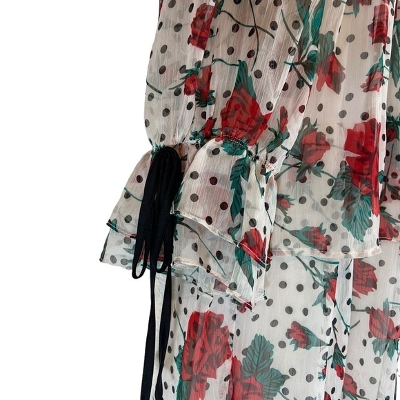 The Moon Chiffon Long Sleeve Tiered Maxi Dress - Picture 9 of 10